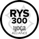 RYS300